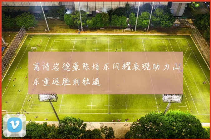 高诗岩德豪陈培东闪耀表现助力山东重返胜利轨道