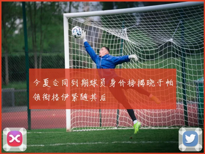 今夏合同到期球员身价榜揭晓于帕领衔格伊紧随其后