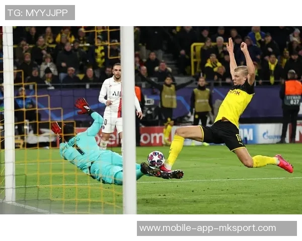 哈兰德为挪威进50球有望打破阿里代伊百球最快纪录